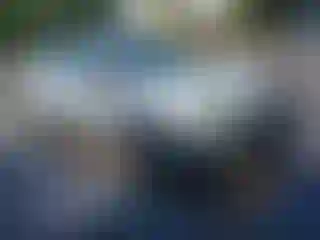 Vehicle Image- 2013 Ford Focus