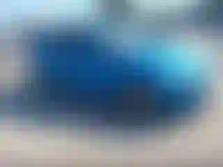 Vehicle Image- 2013 Ford Focus
