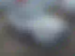 Vehicle Image- 2014 Ford Focus
