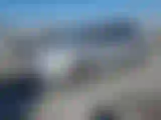 Vehicle Image- 2014 Ford Focus