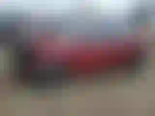 Vehicle Image- 2014 Ford Focus