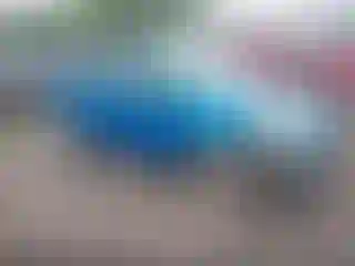 Vehicle Image- 2015 Ford Focus