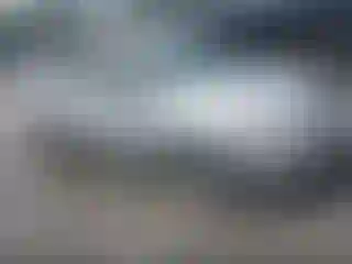 Vehicle Image- 2013 Ford Focus