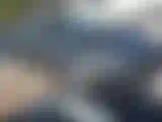 Vehicle Image- 2013 Ford Focus