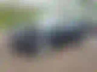 Vehicle Image- 2014 Ford Focus