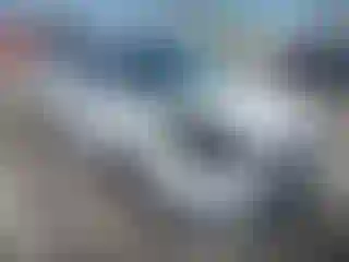 Vehicle Image- 2014 Ford Focus