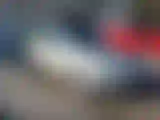 Vehicle Image- 2016 Ford Focus