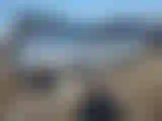 Vehicle Image- 2013 Ford Focus