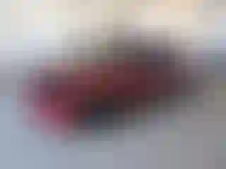 Vehicle Image- 2014 Ford Focus