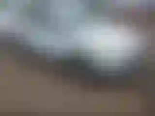 Vehicle Image- 2014 Ford Focus