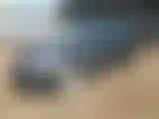 Vehicle Image- 2014 Ford Focus