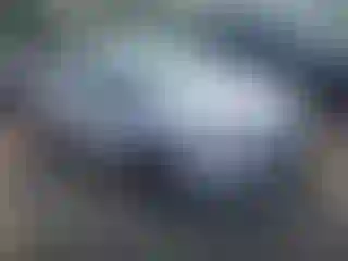 Vehicle Image- 2014 Ford Focus