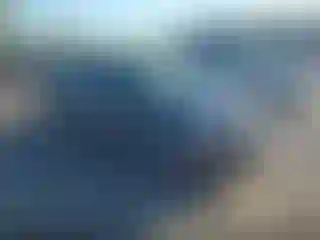 Vehicle Image- 2014 Ford Focus