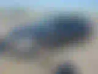 Vehicle Image- 2015 Ford Focus