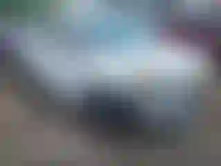 Vehicle Image- 2015 Ford Focus