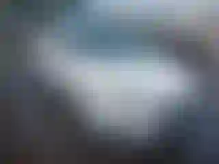 Vehicle Image- 2016 Ford Focus