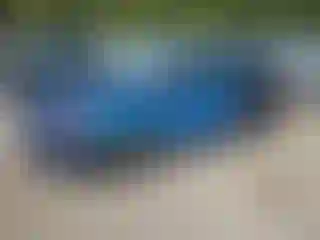 Vehicle Image- 2016 Ford Focus