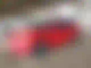 Vehicle Image- 2013 Ford Focus
