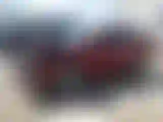 Vehicle Image- 2014 Ford Focus