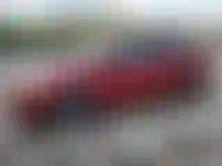 Vehicle Image- 2014 Ford Focus
