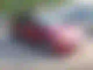Vehicle Image- 2014 Ford Focus