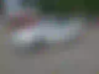 Vehicle Image- 2015 Ford Focus