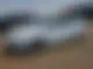 Vehicle Image- 2016 Ford Focus