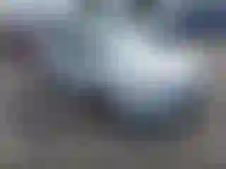 Vehicle Image- 2017 Ford Focus