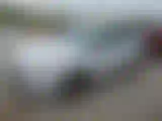 Vehicle Image- 2014 Ford Focus