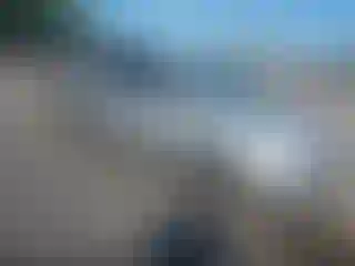 Vehicle Image- 2014 Ford Focus