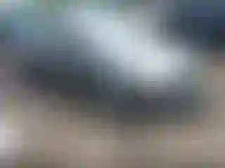 Vehicle Image- 2014 Ford Focus