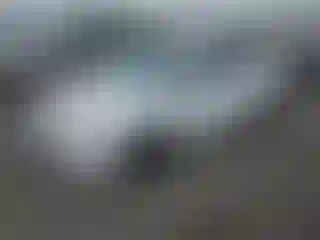 Vehicle Image- 2014 Ford Focus