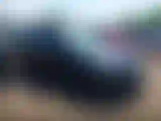 Vehicle Image- 2014 Ford Focus