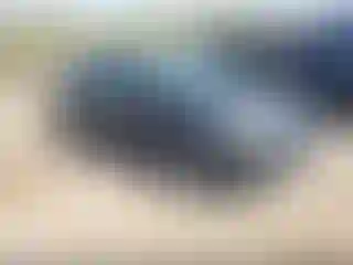 Vehicle Image- 2014 Ford Focus