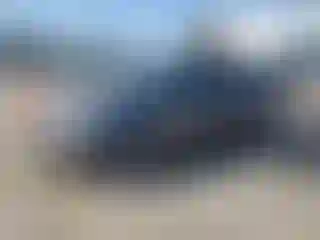 Vehicle Image- 2014 Ford Focus