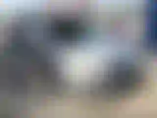 Vehicle Image- 2014 Ford Focus