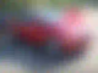 Vehicle Image- 2015 Ford Focus