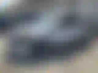 Vehicle Image- 2015 Ford Focus