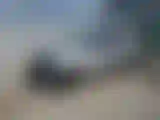 Vehicle Image- 2016 Ford Focus