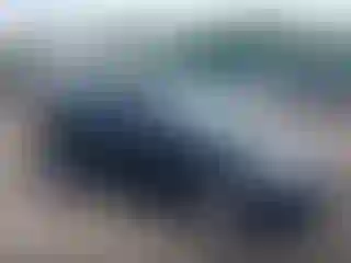 Vehicle Image- 2016 Ford Focus
