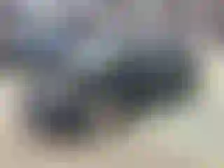 Vehicle Image- 2017 Ford Focus