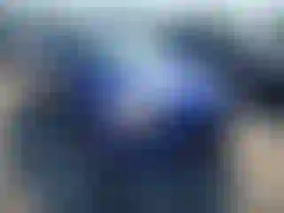 Vehicle Image- 2013 Ford Focus