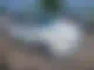 Vehicle Image- 2014 Ford Focus