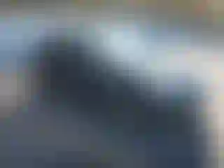 Vehicle Image- 2014 Ford Focus