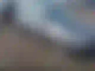 Vehicle Image- 2014 Ford Focus