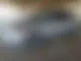 Vehicle Image- 2016 Ford Focus