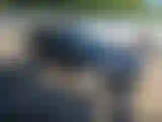 Vehicle Image- 2017 Ford Focus