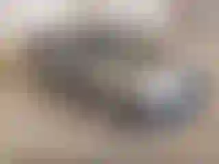 Vehicle Image- 2013 Ford Focus