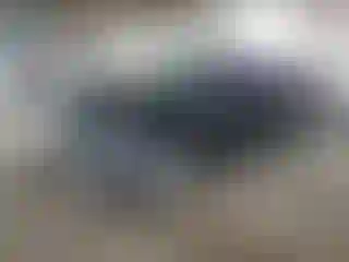 Vehicle Image- 2014 Ford Focus