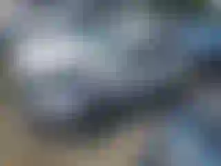 Vehicle Image- 2014 Ford Focus